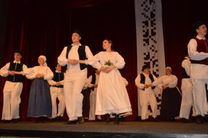 Območno srečanje odraslih folklornih skupin 14